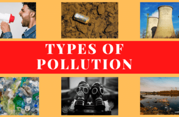 Types Of Pollution: Causes, Effects, And Urgent Climate Solutions