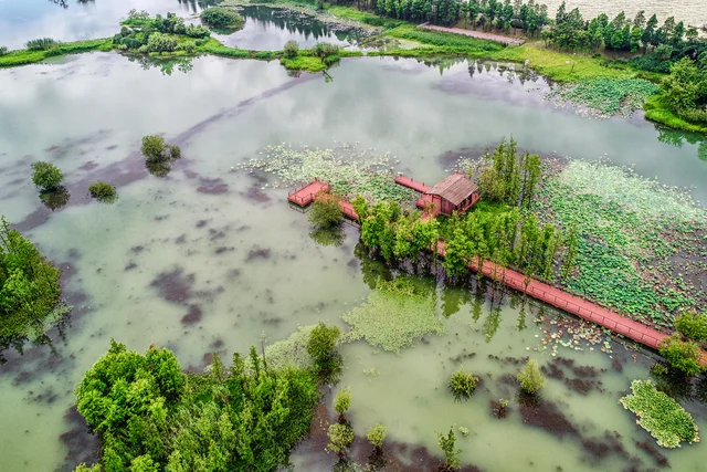 Sea Level Rise and Coastal Flooding