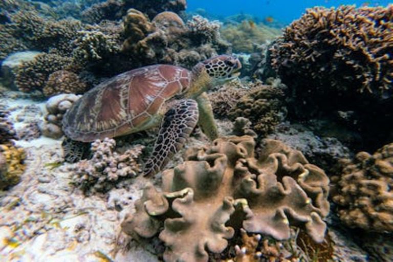 Climate Change Oceans Silent Crisis Climate Change Oceans Silent Crisis