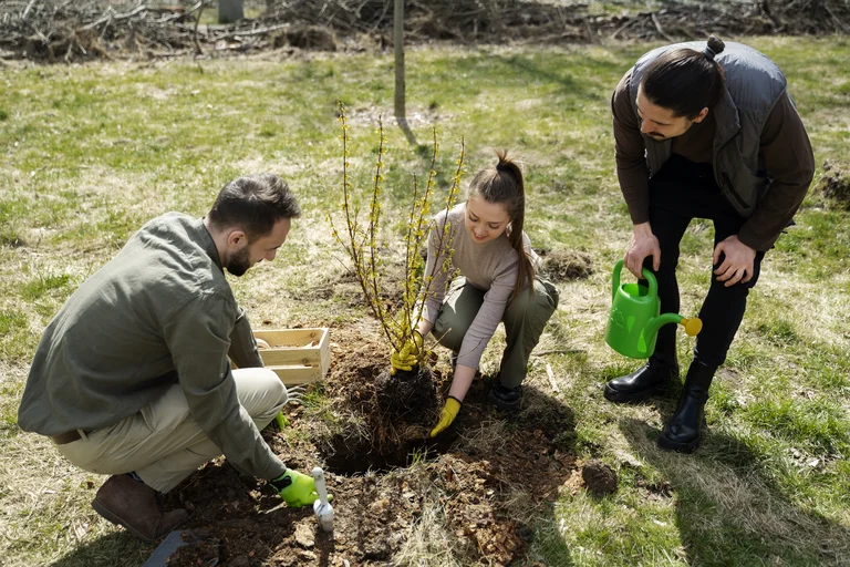 10 Benefits Of Planting Trees For A Greener, Healthier Environment