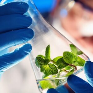 Liquid Metals Pioneering Sustainable Chemical Production