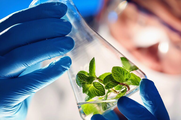 Liquid Metals Pioneering Sustainable Chemical Production Liquid Metals Pioneering Sustainable Chemical Production