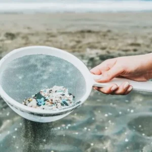 Understanding The Effects Of Microplastics On Our Environment Understanding The Effects Of Microplastics On Our Environment