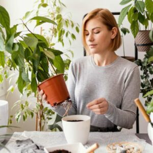 Resolutions For Healthy Living Through Indoor Gardening Resolutions For Healthy Living Through Indoor Gardening