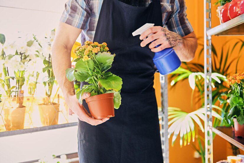 Natural Bee Repellents for Home and Garden Natural Bee Repellents for Home and Garden