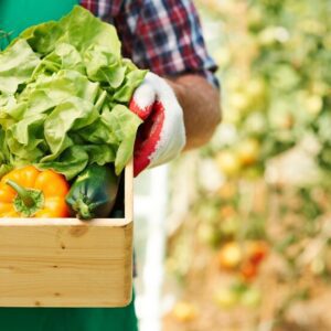 10 Expert Secrets To Growing Your Own Veggie Garden 10 Expert Secrets To Growing Your Own Veggie Garden