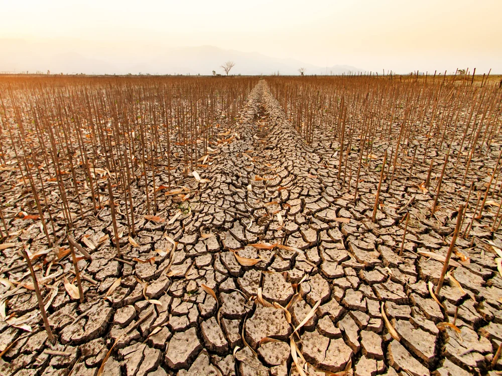 How Is The Megadrought Affecting The Western United States? How Is The Megadrought Affecting The Western United States?