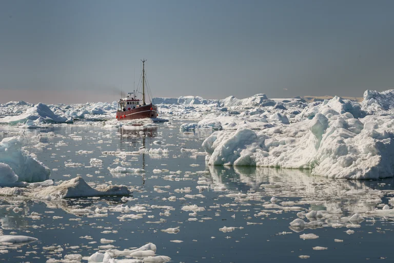 Slowdown In Arctic Ice Melt What Scientists Are Saying