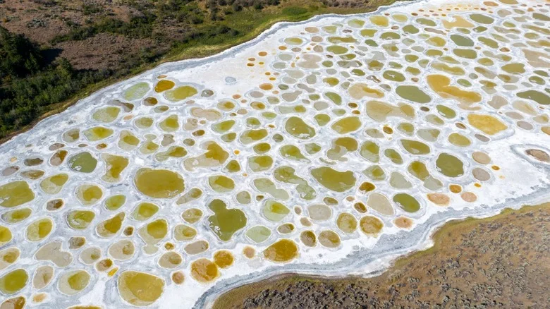 Spotted Lake, Canada (A Lake Full of Colorful Spots)