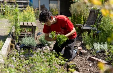 What Vegetable Is Best Planted In August