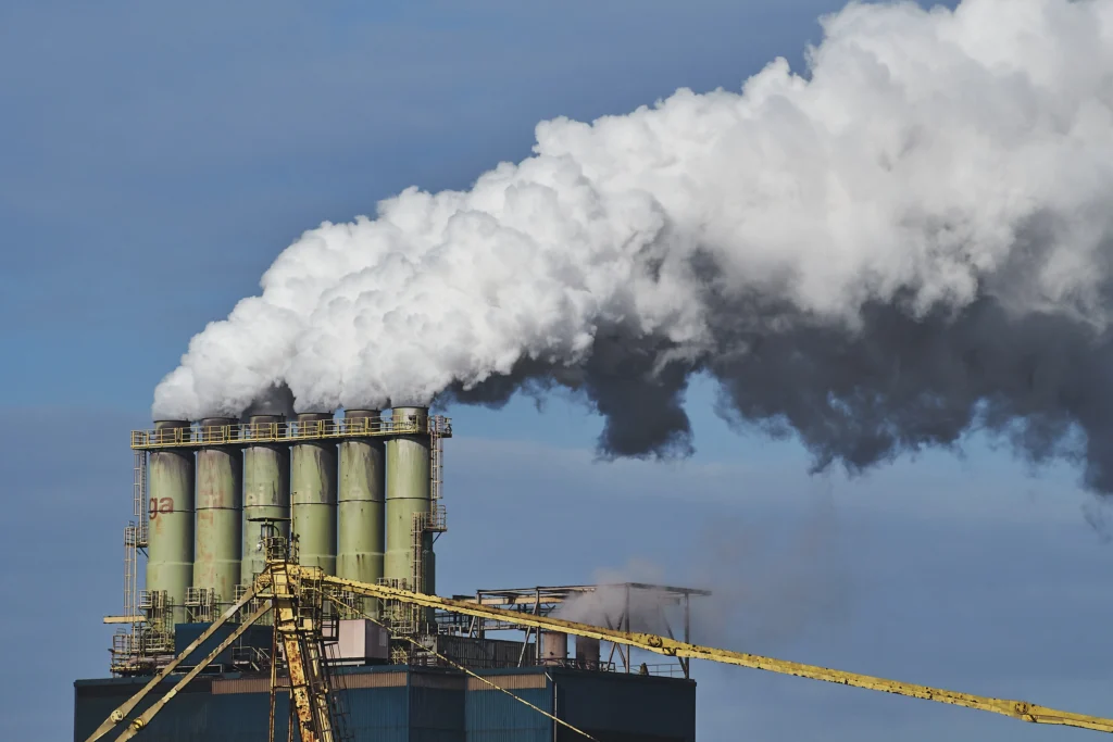 Fossil Fuel Consumption and Greenhouse Gas Emissions