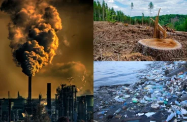 Human Activities That Affect The Environment