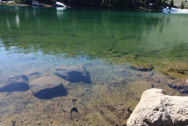 Water Pollution and Contamination