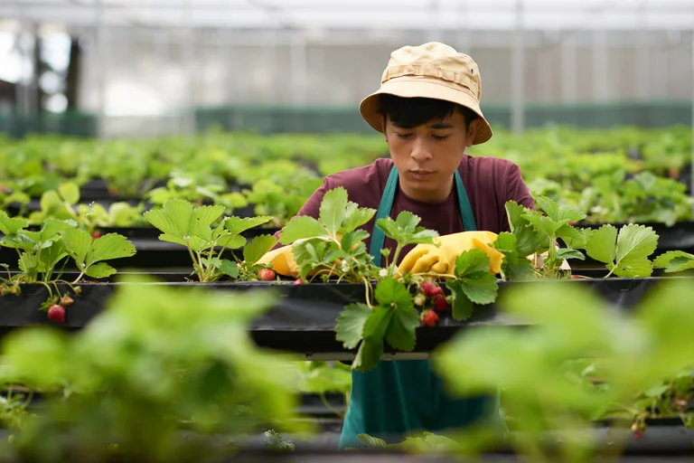 New Styles Of Terrace Farming For Urban Gardeners 7 Creative Ideas