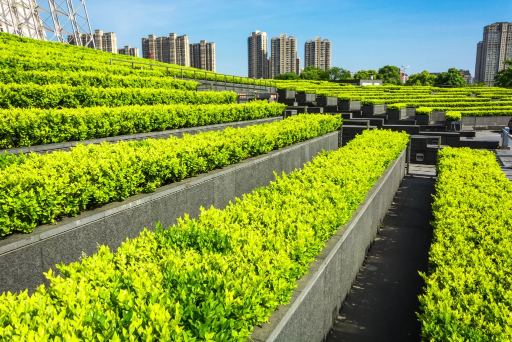Bench Farming on Rooftops