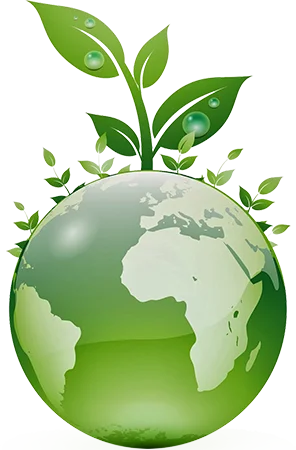 eco services