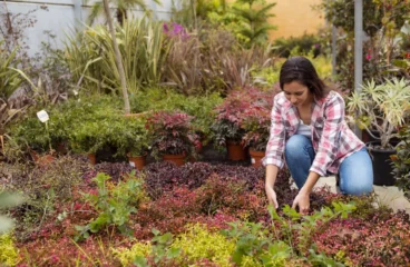 8 Best Drought Tolerant Plants For Low Water Landscapes
