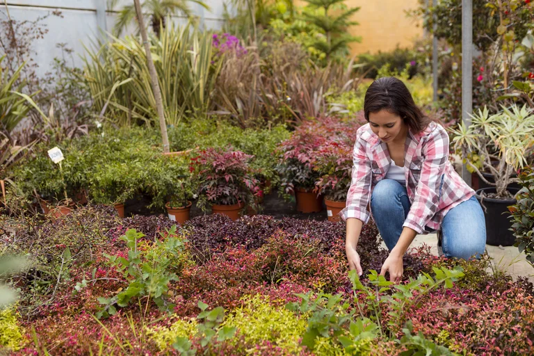8 Best Drought Tolerant Plants For Low Water Landscapes