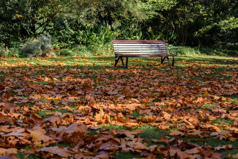 Prepare Your Garden For Fall With Tips For Every Climate Zone