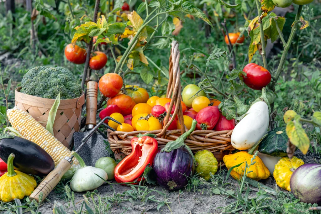 8 Vegetables You Can Still Plant in October: