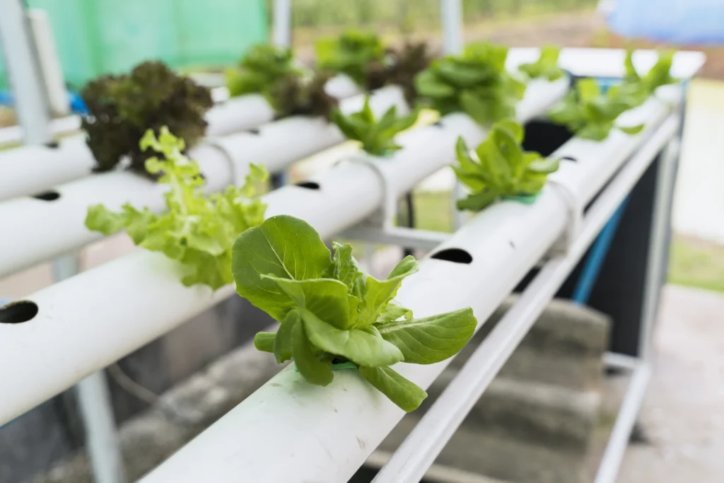 Types of Hydroponic Systems