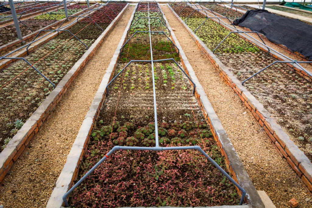 Benefits of Urban Agriculture