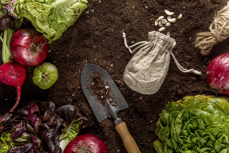 8 Vegetables To Plant In October For A Fall Harvest