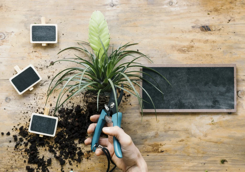 How to Start Precision Gardening: 2026 Step-by-Step Guide