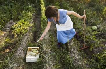 Food Forest Gardening