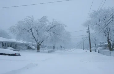 Winter Storm Fern 2026 Polar Vortex