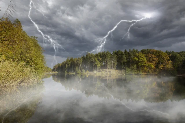 storm lightning forest