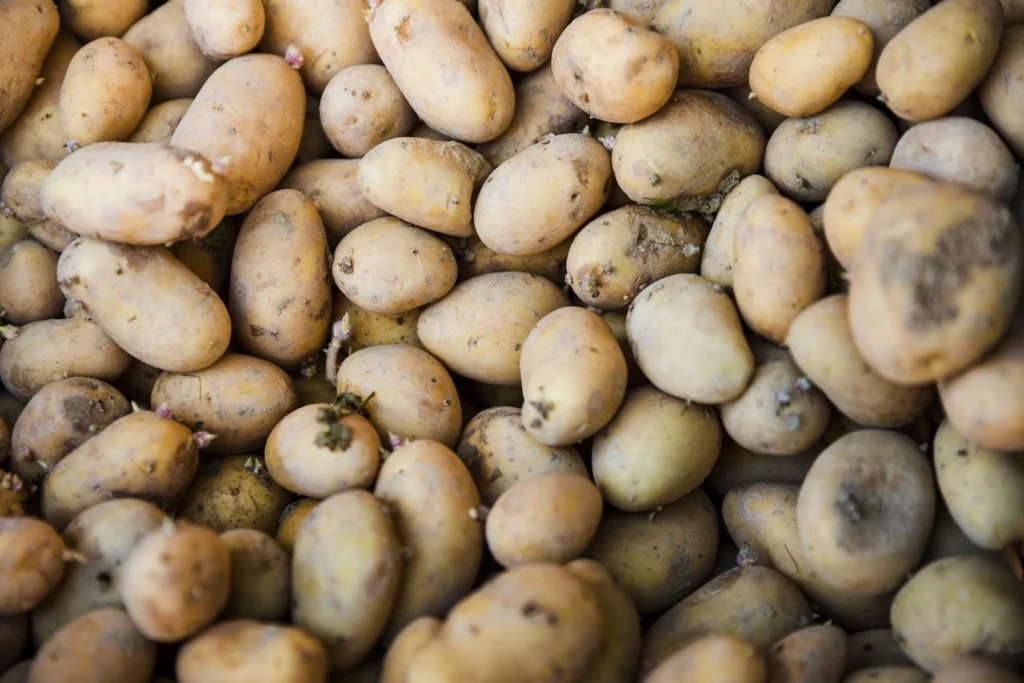Europe’s Potato Shortage Explained Causes And Rising Prices
